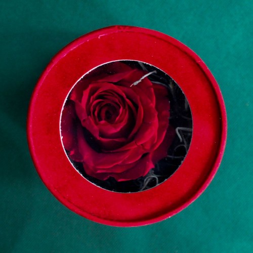 Βελούδινο κουτί με forever rose Βελούδινο κουτί με forever rose
