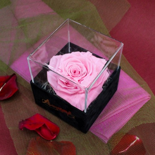 Βελούδινο κουτί με forever rose καρδιά