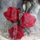 Κόκκινα Forever Roses σε γυάλα