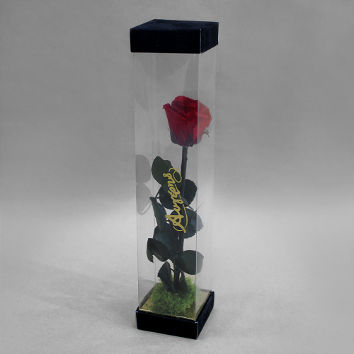 Forever Rose