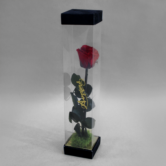 Forever Rose